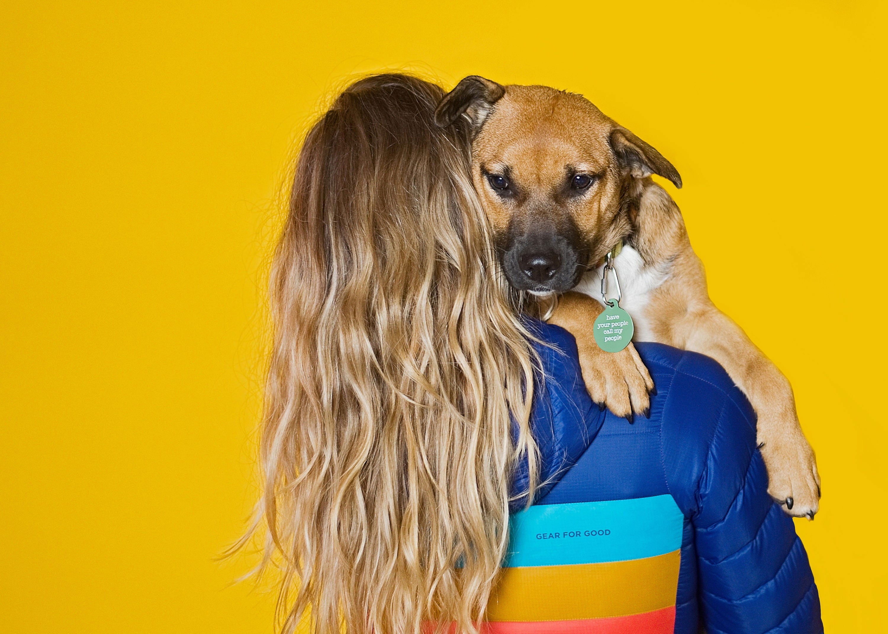 6 Ways to Tell Your Dog You Love Them