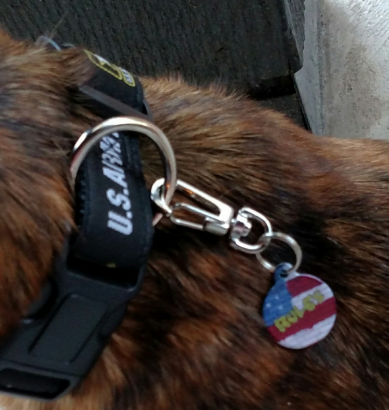Lobster Claw Pet Tag Clip
