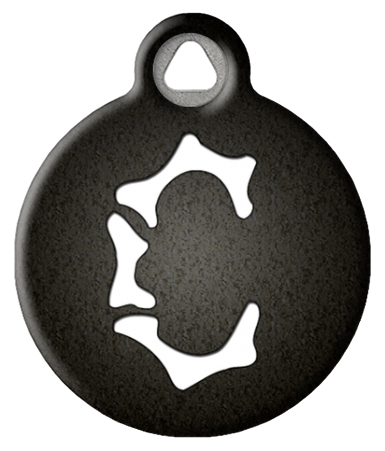 Skeletal Bones Monogram Pet ID Tag