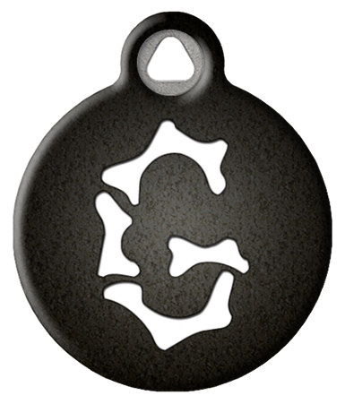 Skeletal Bones Monogram Pet ID Tag