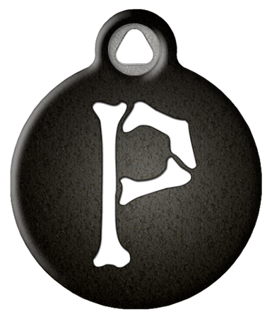 Skeletal Bones Monogram Pet ID Tag