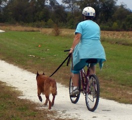 Image: Biking With A Dog
