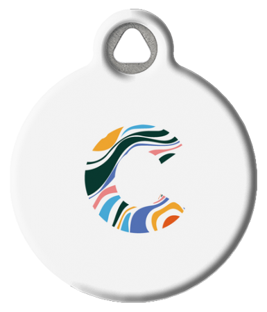 Fun Colorful Letter Monogram Pet ID Tag