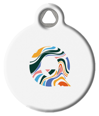 Fun Colorful Letter Monogram Pet ID Tag
