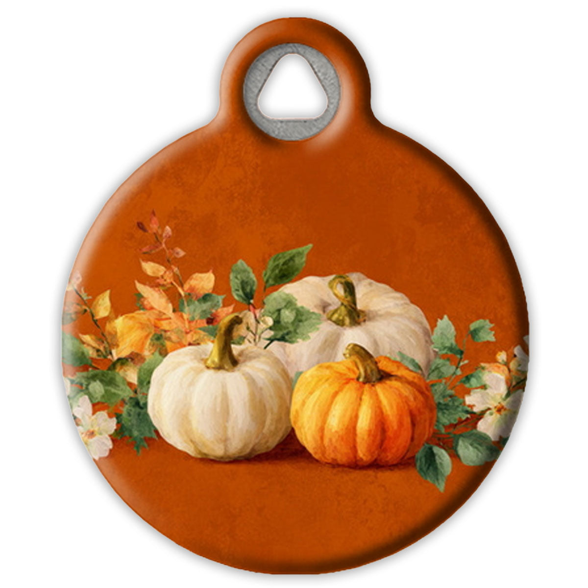Autumn Pumpkins Pet ID Tag