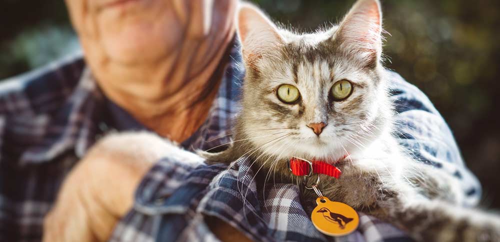 Cat lovers versus dog lovers: Here is how they are different