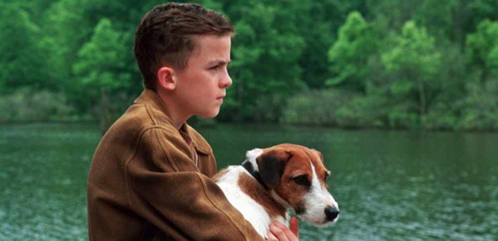 The 12 Best Dog Movies of All Time | Dog Tag Art