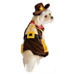 Dog Halloween Costume Cowboy