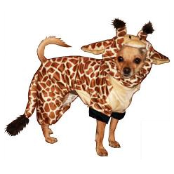 Dog Halloween Costume Giraffe