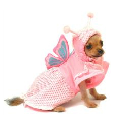Dog Halloween Costume Butterfly