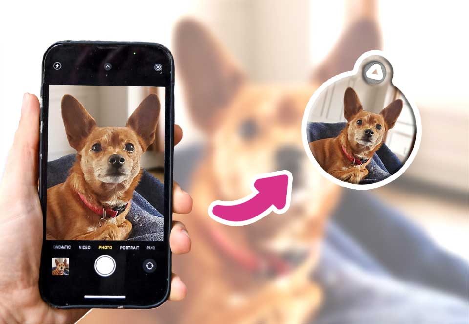Upload Your Own Photo for a Custom Pet Tag 