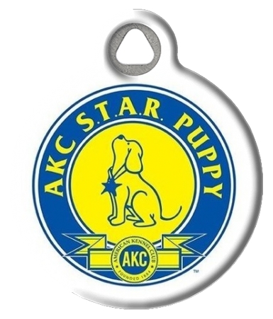 Pet ID tag artist: AKC Canine Good Citizen® | Dog Tag Art