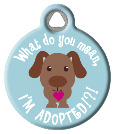 Loved orange CUSTOM cute 11 colors pet dog cat tag id Rescued Adopted 